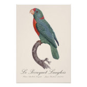 De papegaai Langlois van Jacques Barraband Foto Afdruk (Voorkant)