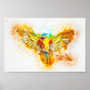 De papegaai van de ara poster
