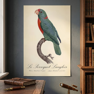 De papegaai van Langlois door Jacques Barraband Poster