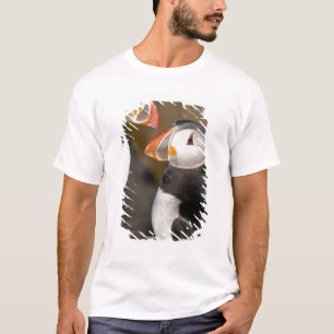 De papegaaiduiker t-shirt