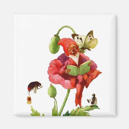 De papegaaie gnome magneet (Voorkant)