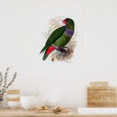 De papegaaireeks drie van drie poster (Keuken)