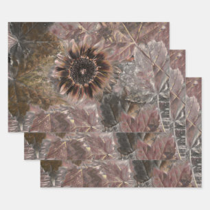 De Papier Cadeau Automne Vintage Tournesol Brown Gris Maple Feuille