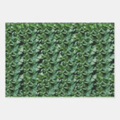 De Papier Cadeau Botanique Feuille Tora verte (Devant 3)