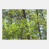 De Papier Cadeau Canopée du printemps Feuille Green Nature Scene (Devant 2)