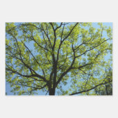 De Papier Cadeau Canopée du printemps Feuille Green Nature Scene (Devant 3)