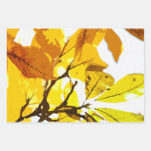 De Papier Cadeau Couleurs d'automne, feuille (Devant 3)