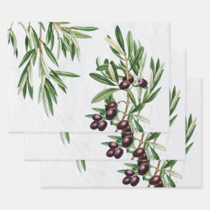 De Papier Cadeau L'île méditerranéenne grecque Feuille d'olive
