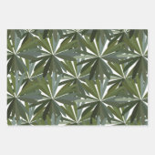 De Papier Cadeau Motif Feuille vert (Devant 2)