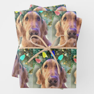 De Papier Cadeau Nova the Golden Retriever - Envelopper des feuille