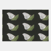 De Papier Cadeau Papillon Morpho blanc sur feuille (Devant 3)