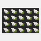 De Papier Cadeau Papillon Morpho blanc sur feuille (Devant)