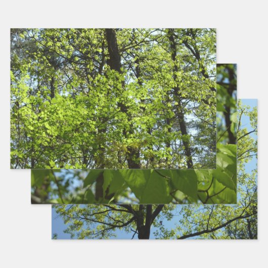 De Papier Cadeau Ressource Feuille (Lot)