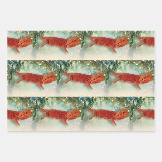De Papier Cadeau Tire le dragon à l'épaule - Envelopper les feuille (Devant)