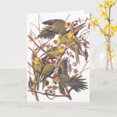 De Parkiet van Carolina van Audubon Kaart (Gele Bloem)