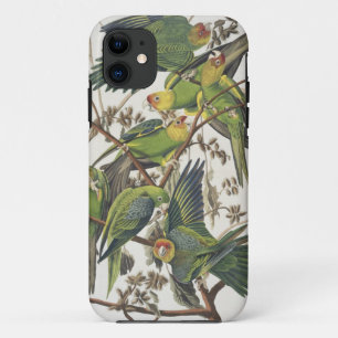 De Parkiet van Carolina, van "Vogels van Amerika", iPhone 11 Hoesje