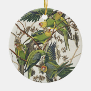 De Parkiet van Carolina, van "Vogels van Amerika", Keramisch Ornament
