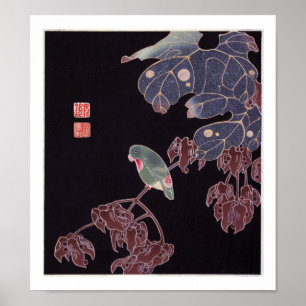 De Parrot, Jakuchu Poster