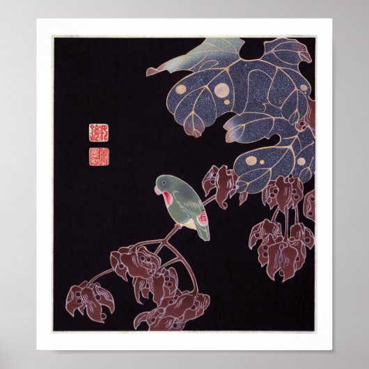 De Parrot, Jakuchu Poster (Voorkant)