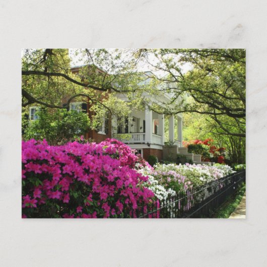 De parsonage - Lente in Natchez, Mississippi Briefkaart (Voorkant)