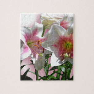 De Partij van de Douche van de Liefde van de Tuin Legpuzzel