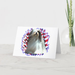 De Patriot van Apso van Lhasa Kaart