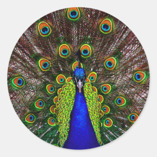 De Peacock Ronde Sticker
