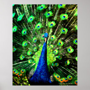 De Peacock Strut doen Poster