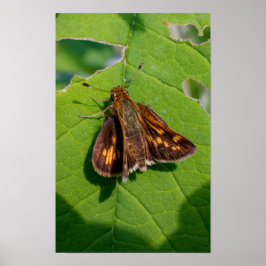 De Pecks Skipper Poster