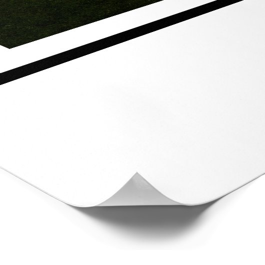 De Pegasus Poster (Hoek)