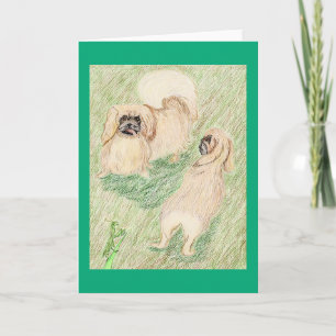De pekingese en de gebeende antis kaart