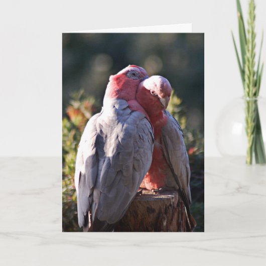 De perfecte dag - Valentijn Feestdagen Kaart (Voorkant)