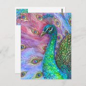 De perfecte pacock. briefkaart (Voorkant / Achterkant)