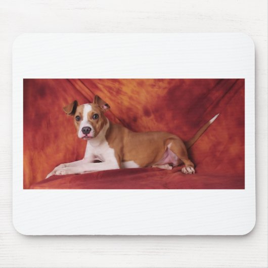 De perfecte Pit Bull Muismat (Voorkant)