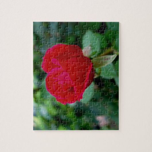 De perfecte Roos puzzel (Verticaal)