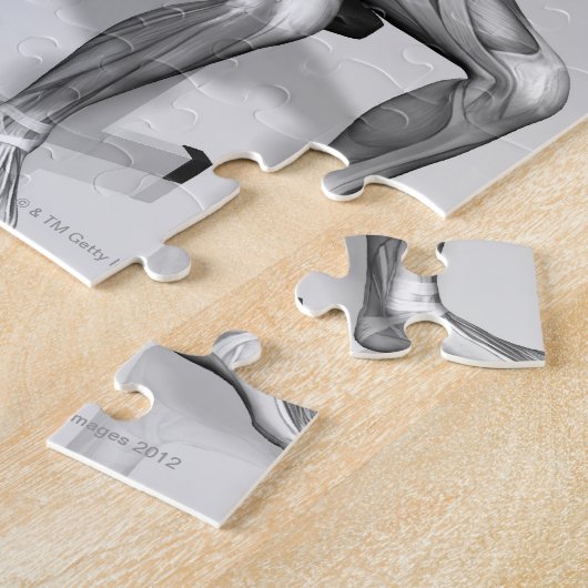 De Pers 2 van de Bench van de inline Legpuzzel (Zijkant)