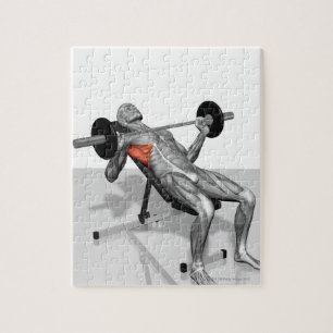 De Pers 2 van de Bench van de inline Legpuzzel