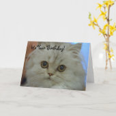 De Perzische Kaart van de Verjaardag van het Katje (Gele Bloem)