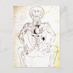 De Perzische Medische VoorAnatomie van de vintage Briefkaart