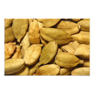 De peulen van de kardemom foto afdruk