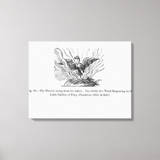 De Phoenix die uit zijn as voortkomt Canvas Afdruk (Voorkant)