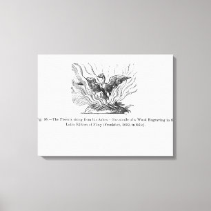 De Phoenix die uit zijn as voortkomt Canvas Afdruk