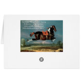 De Piebald Piebald Horse "Ceheld-opfok" (Achterkant Horizontaal)