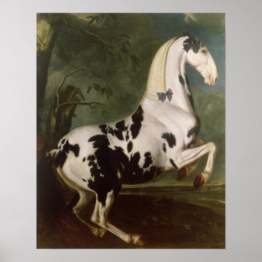 De Piebald Stallion van de Eisgruber-studie Poster (Voorkant)
