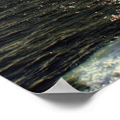 De pijlen en de waterkrab poster (Hoek)