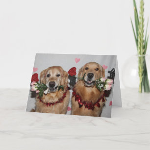 De Pijlen van Valentijn van het golden retriever Feestdagen Kaart