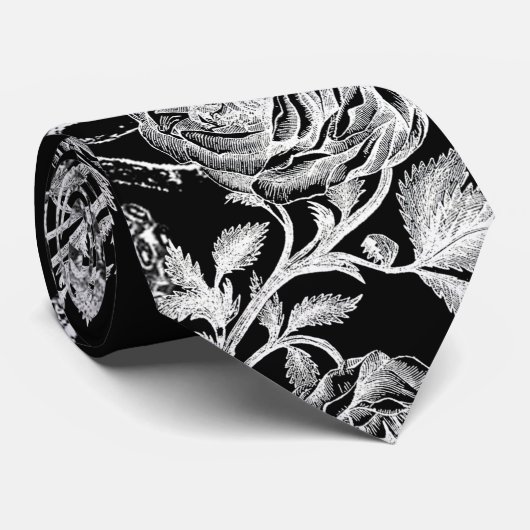 De pijlinktvis en nam toe stropdas (Opgerold)