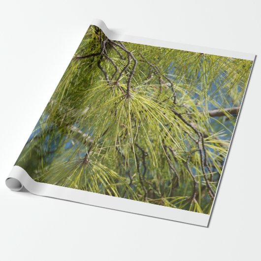 De pinebak cadeaupapier (Uitgerold)