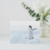 De pinguïn van Adelie, Antarctica Briefkaart (Staand voorkant)