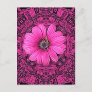 DE PINK DAISY BRIEFKAART